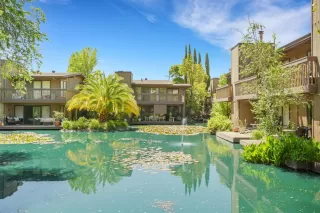 Photo #1: 225015584 Listing