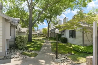 Photo #1: 225017336 Listing 