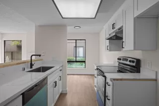 Photo #4: 225017584 Listing