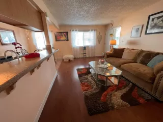 Photo #4: 225018406 Listing