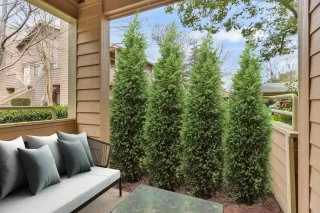 Photo #4: 225020932 Listing 