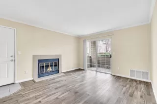 Photo #5: 225020932 Listing 