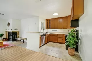 Photo #1: 225021495 Listing 