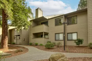 Photo #3: 225021495 Listing 