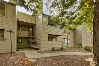 Photo #5: 225021495 Listing 