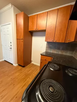 Photo #3: 225024210 Listing 