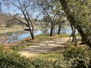 Photo #1: 225024751 Listing 