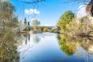 Photo #6: 225025420 Listing 