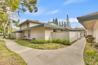 Photo #1: 225027735 Listing