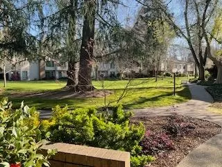 Photo #1: 225028665 Listing