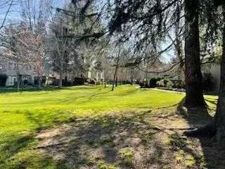 Photo #2: 225028665 Listing