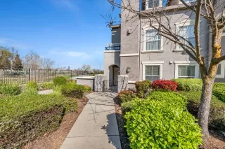 Photo #1: 225029630 Listing 