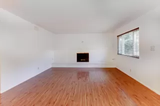 Photo #5: 225032194 Listing