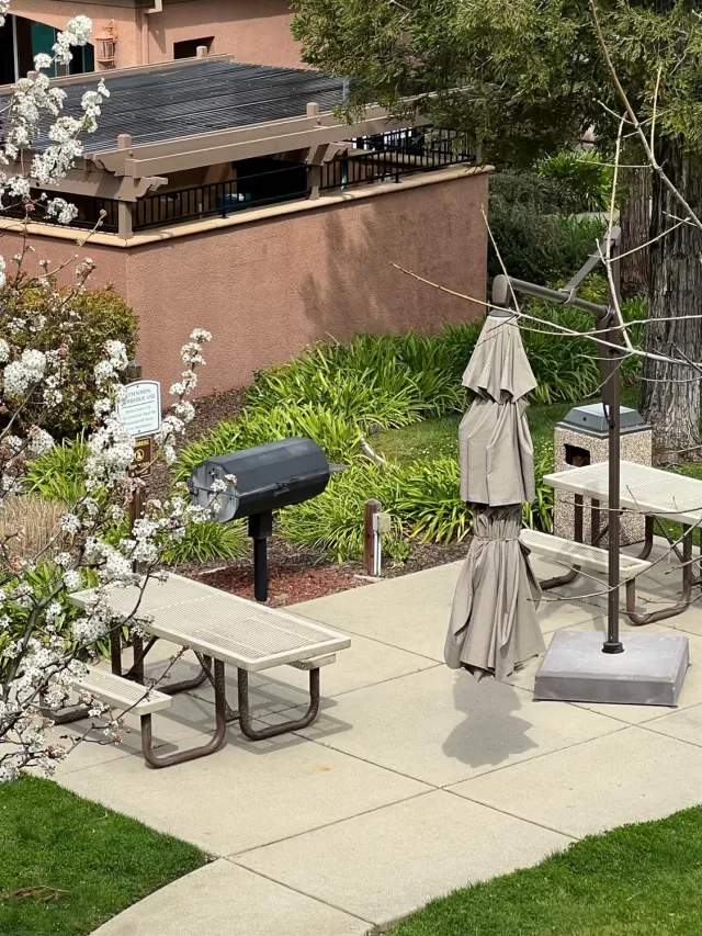 MLS: 225032247 Condo For Sale