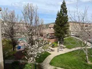 Photo #1: 225032247 Listing 