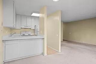 Photo #6: 225032913 Listing