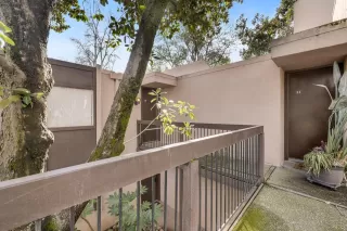 Photo #1: 225033918 Listing