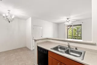 Photo #4: 225033937 Listing