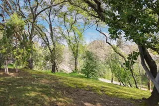 Photo #2: 225034544 Listing