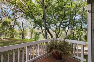 Photo #3: 225034544 Listing