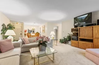 Photo #3: 225035771 Listing