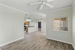 Photo #1: 225037278 Listing 