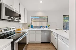 Photo #1: 225037591 Listing 