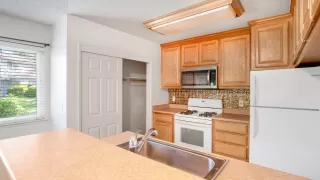 Photo #3: 225038609 Listing 