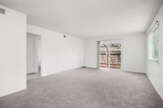 Photo #6: 225038609 Listing 