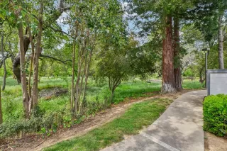 Photo #1: 225039087 Listing 