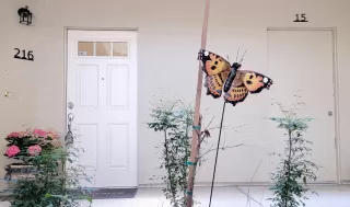 More Details about MLS # 225039183 : 2230 VALLEY VIEW PKWY #216