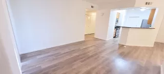 Photo #4: 225039183 Listing