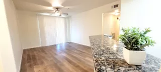 Photo #6: 225039183 Listing