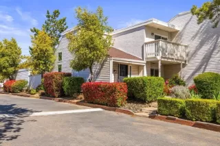 Photo #1: 225039677 Listing