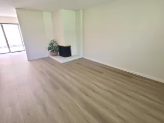 Photo #5: 225041217 Listing 