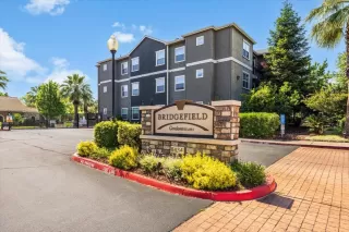 Photo #1: 225043369 Listing 