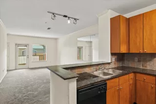 Photo #2: 225043369 Listing 