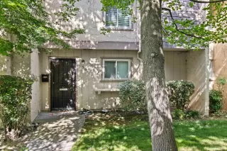 Photo #1: 225044303 Listing