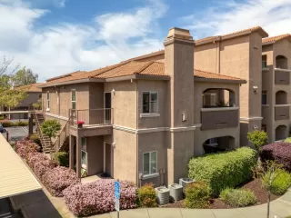 Photo #1: 225045752 Listing 