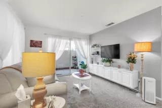 Photo #1: 225046484 Listing