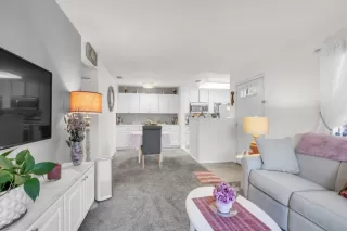 Photo #2: 225046484 Listing