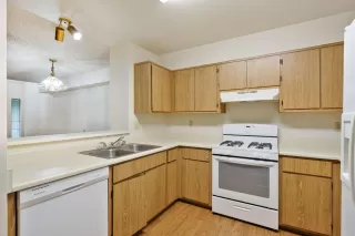 Photo #1: 225046978 Listing 