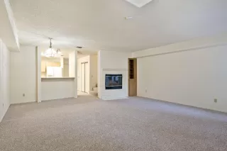 Photo #3: 225046978 Listing 