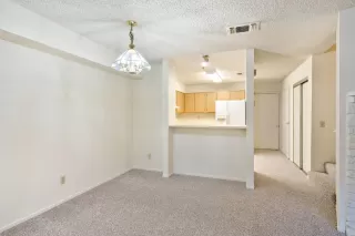 Photo #6: 225046978 Listing 