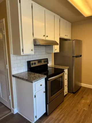 Photo #2: 225046993 Listing 