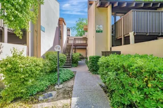 Photo #1: 225047004 Listing