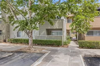 Photo #1: 225047499 Listing