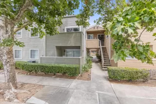 Photo #2: 225047499 Listing