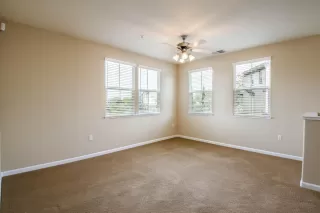 Photo #4: 225049169 Listing 