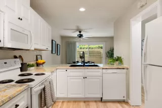 Photo #6: 225049945 Listing 